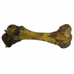 Fémur de Vacuno Gigante Rahue