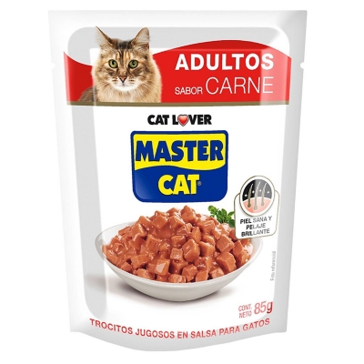Sachet Master Cat Carne x20
