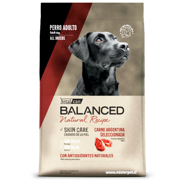 Vitalcan Balanced Natural Recipe Perro Adulto Selección Carne Argentina