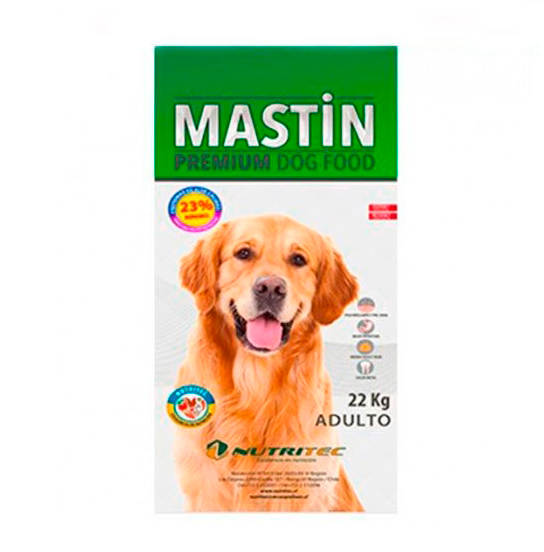 Mastin Adulto