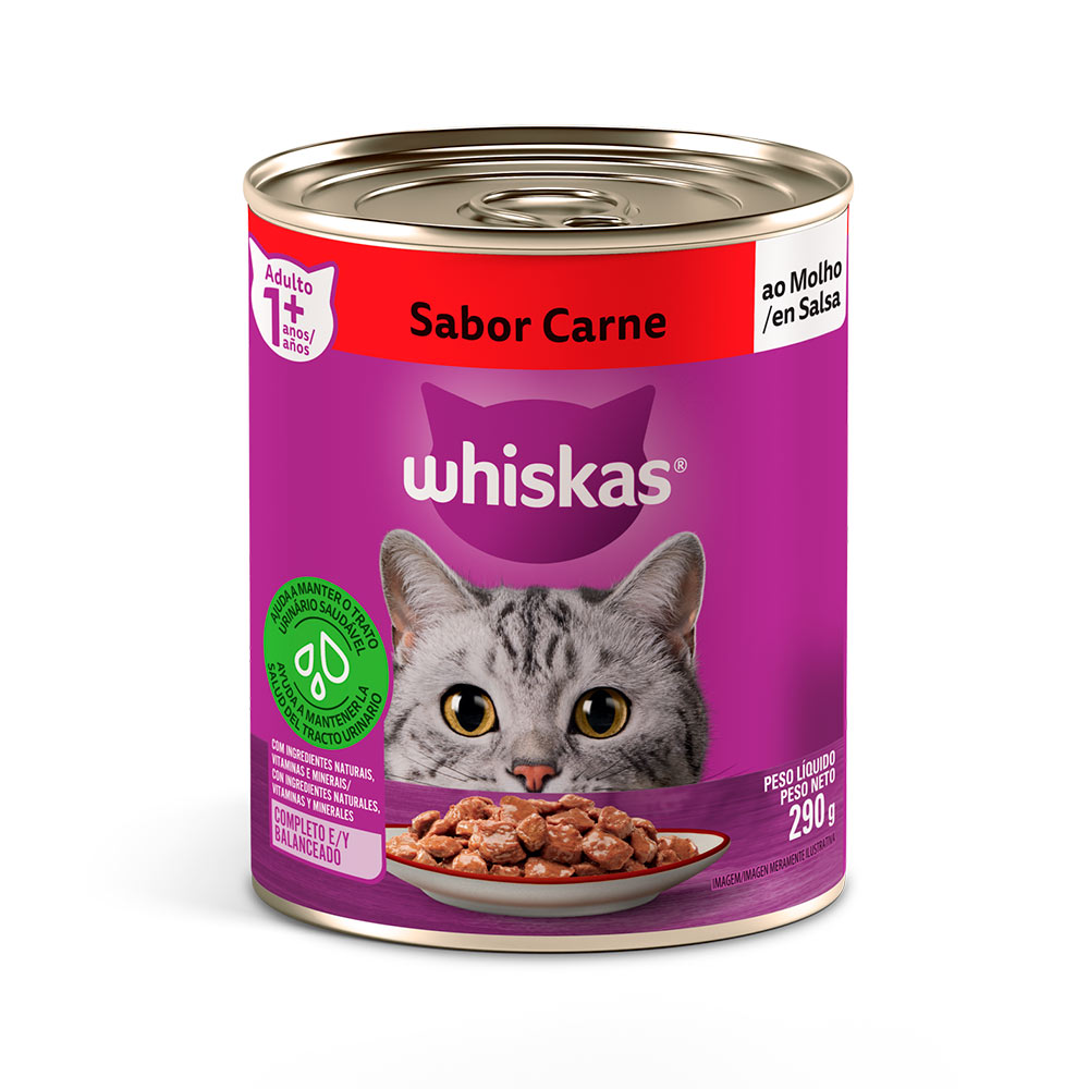 Lata Whiskas Carne Display 24x290 GR