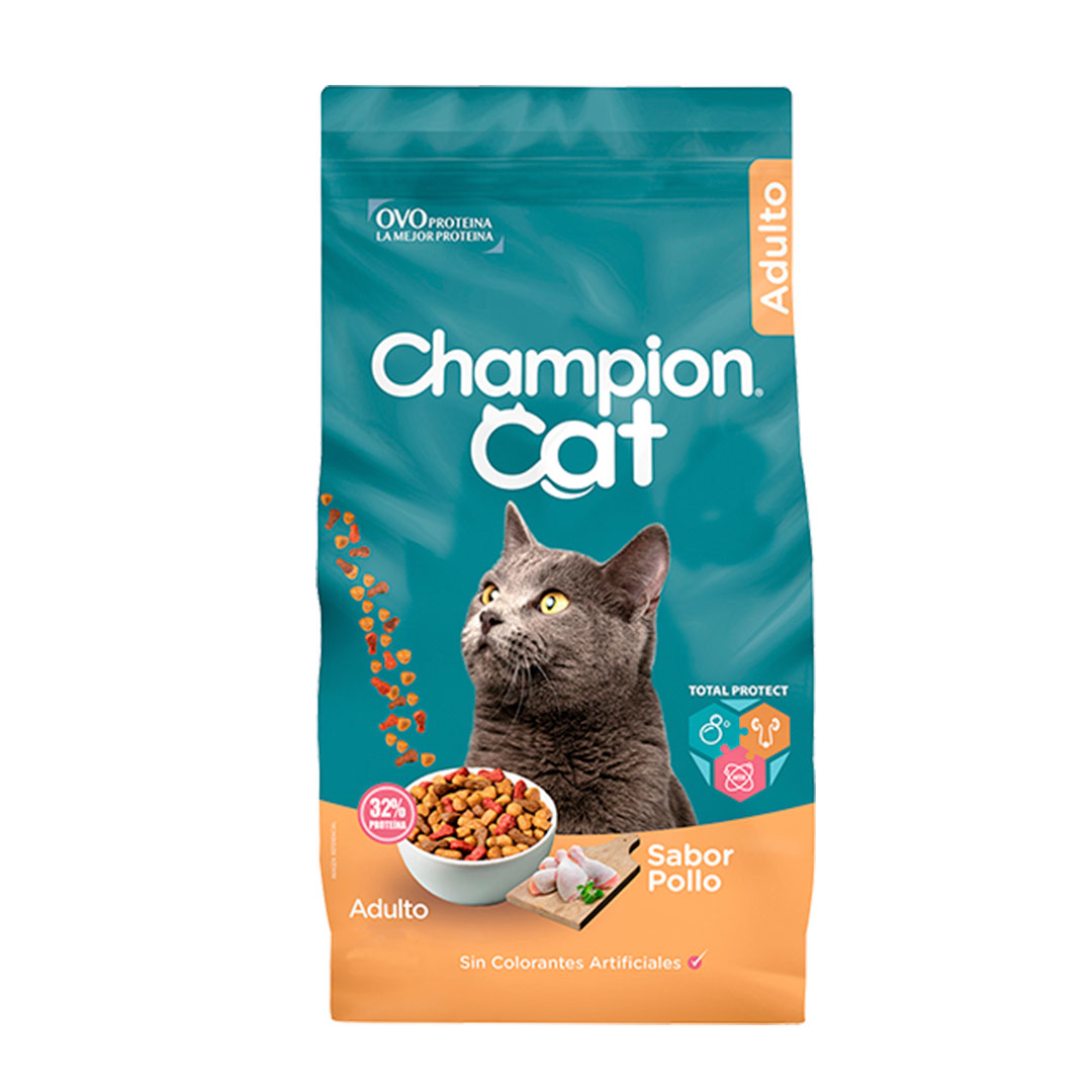 Champion Cat Pollo