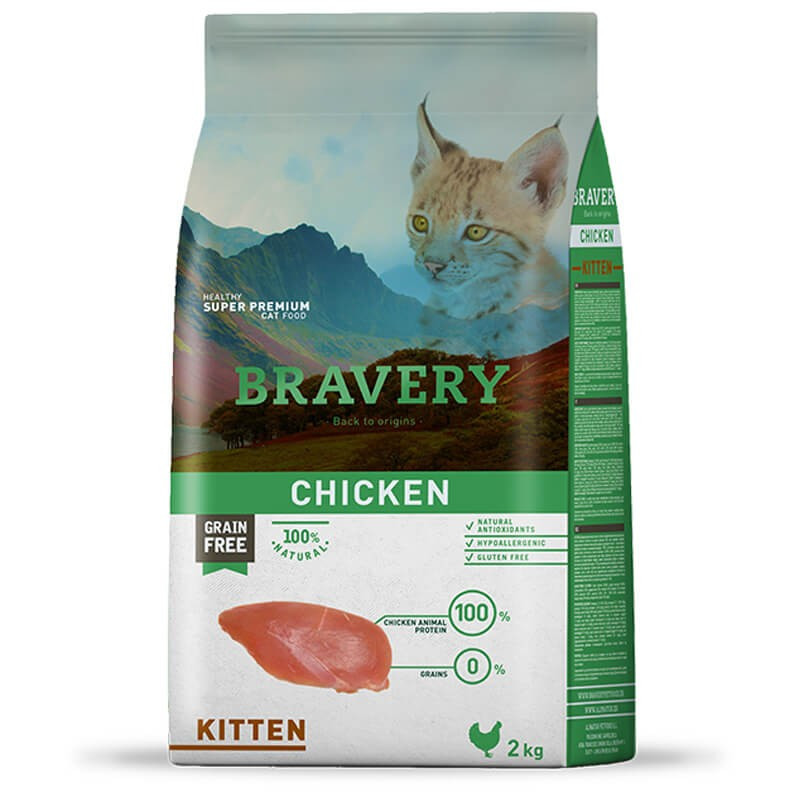 Bravery Gato Kitten Chicken