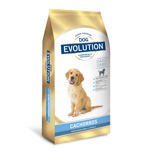 Dog Evolution Cachorro