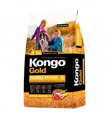 Kongo Gold Cachorro