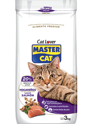 Master Cat Hogareño
