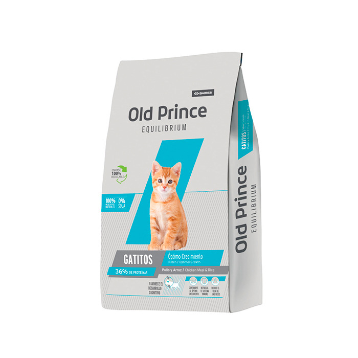 Old Prince Kitten