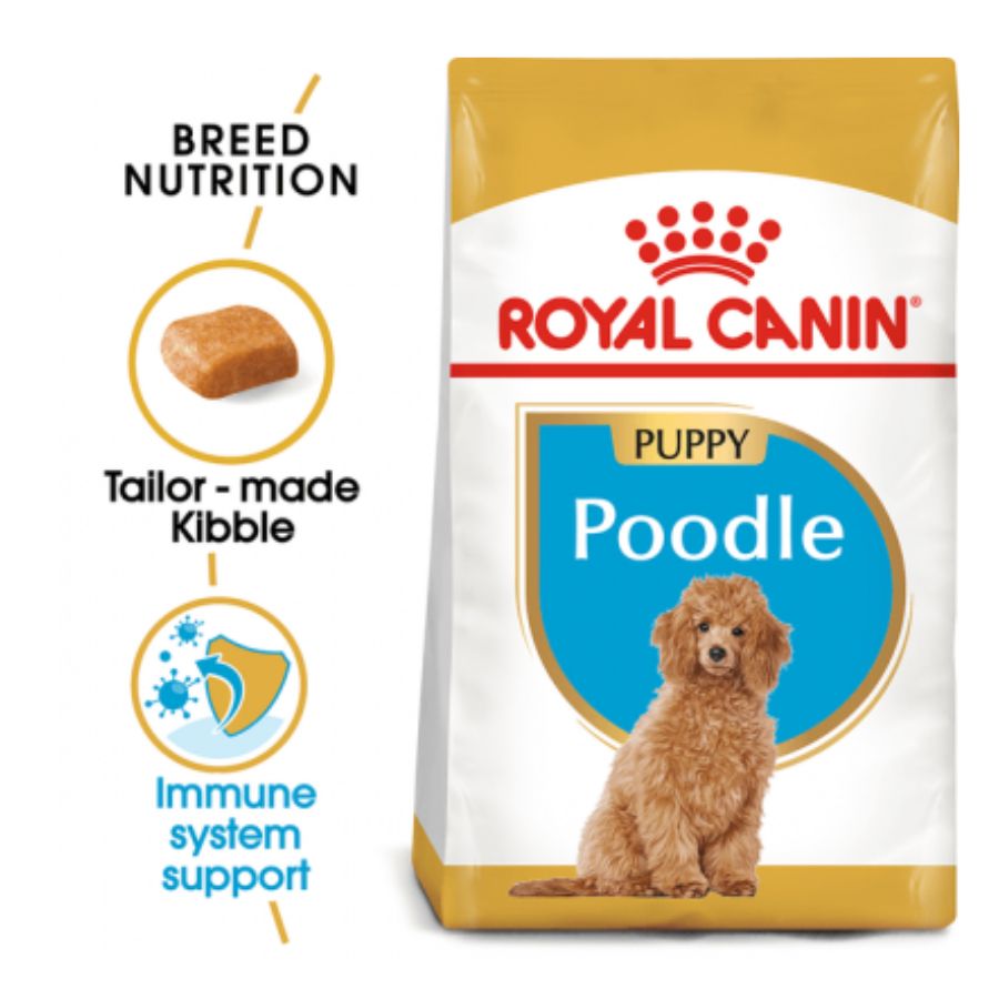 Royal Canin Poodle Caniche Puppy Junior