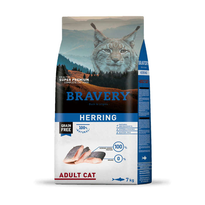 Bravery Herring Adulto Gato