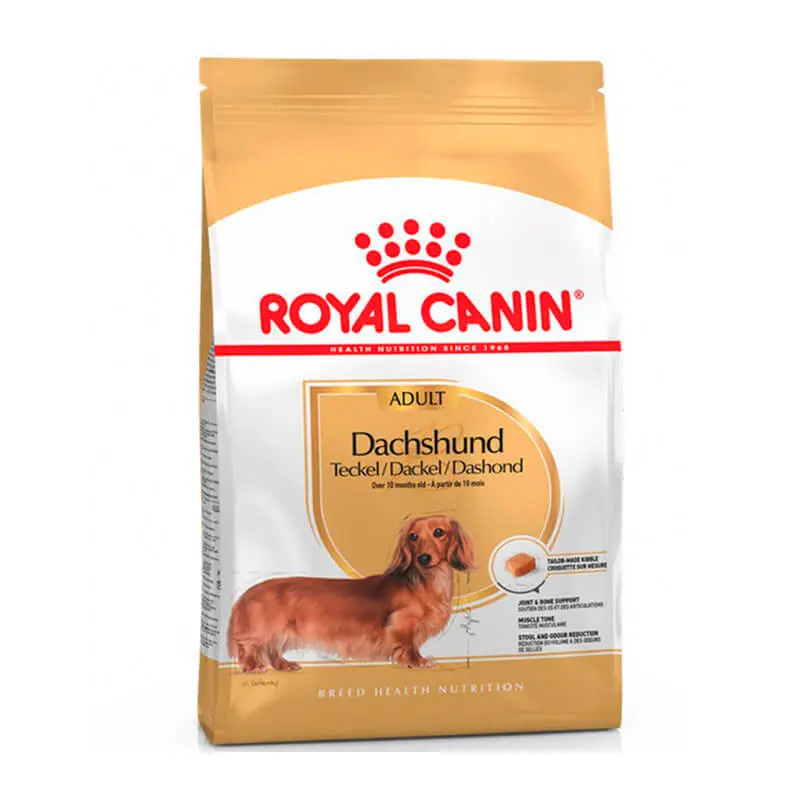 Royal Canin Dachshund Adulto