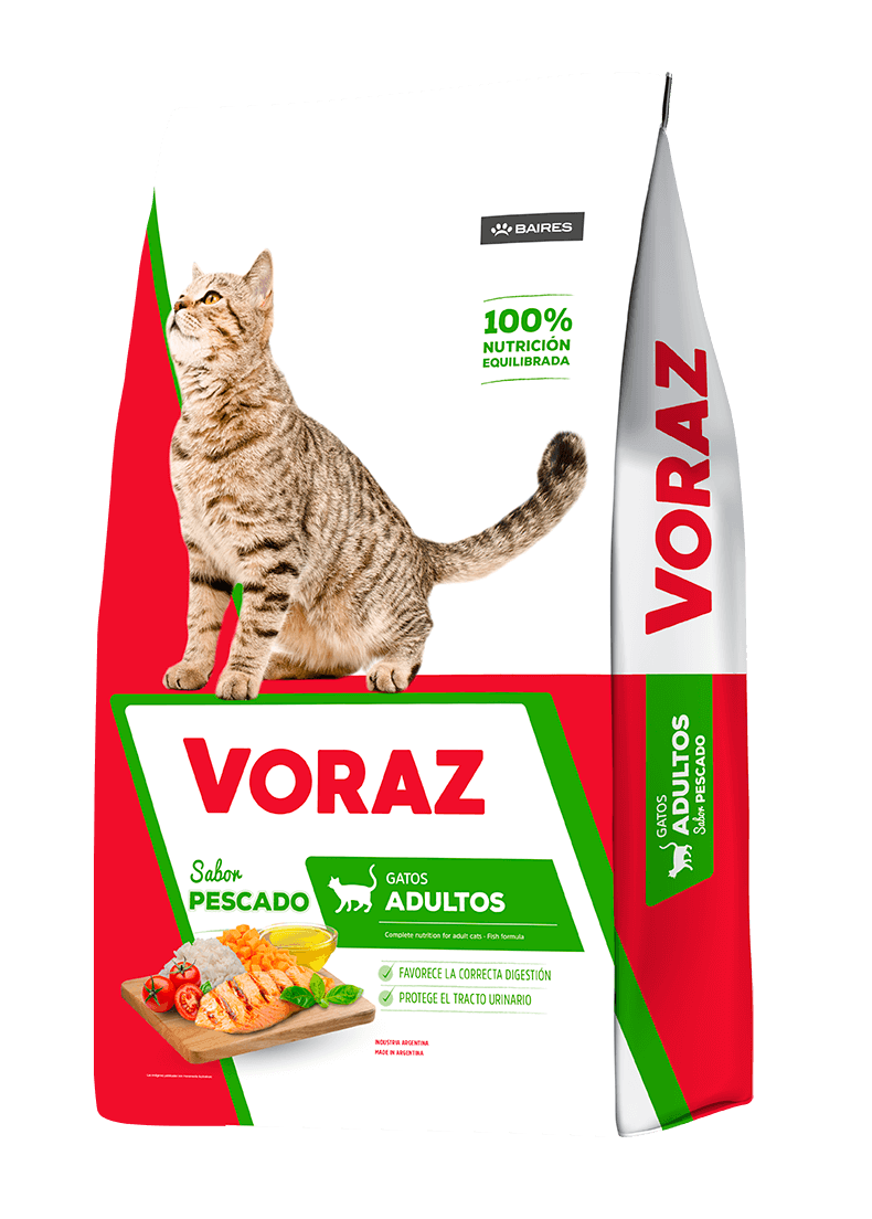 Voraz Gato Adulto