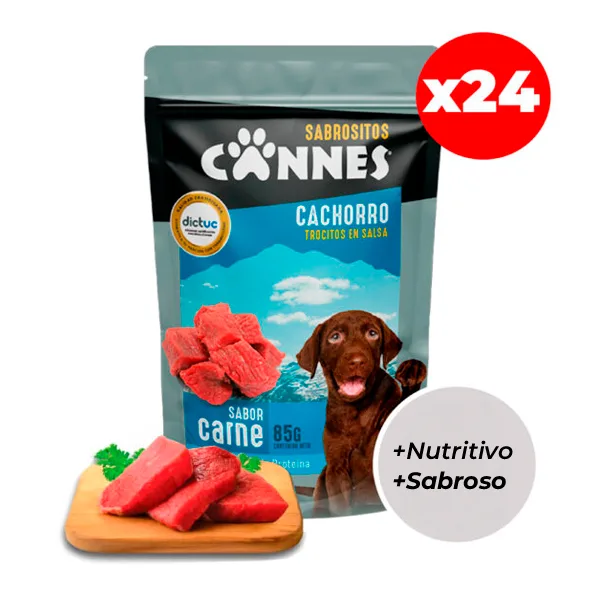 Caja Sachet Cannes Cachorro Carne 24 Unidades