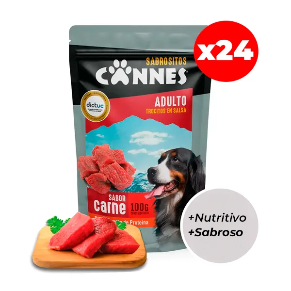 Caja Sachet Cannes Carne 24 Unidades