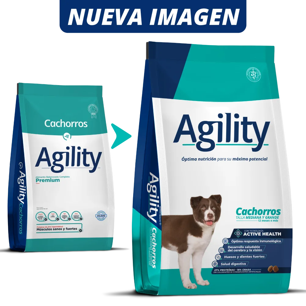 Agility Cachorro
