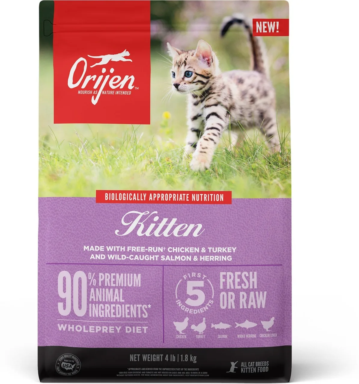 Orijen Kitten