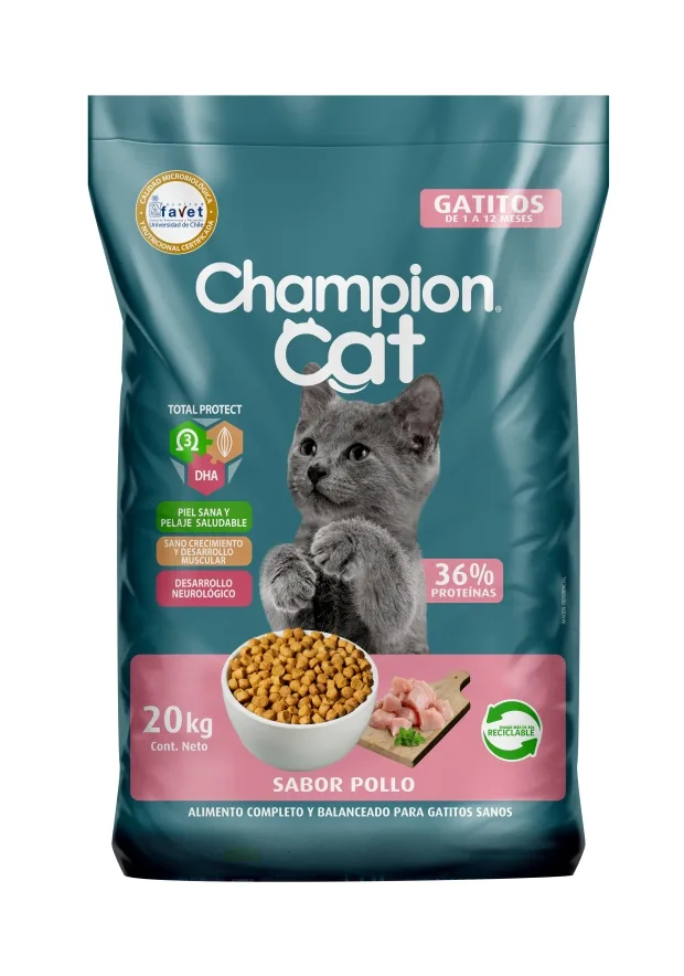 Champion Cat Gatitos