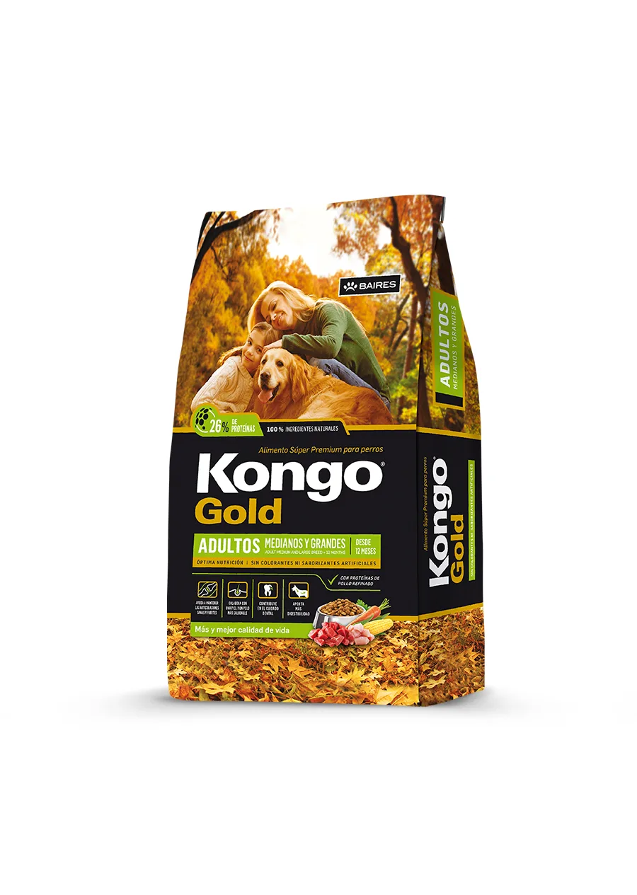 Kongo Gold Perro Adulto