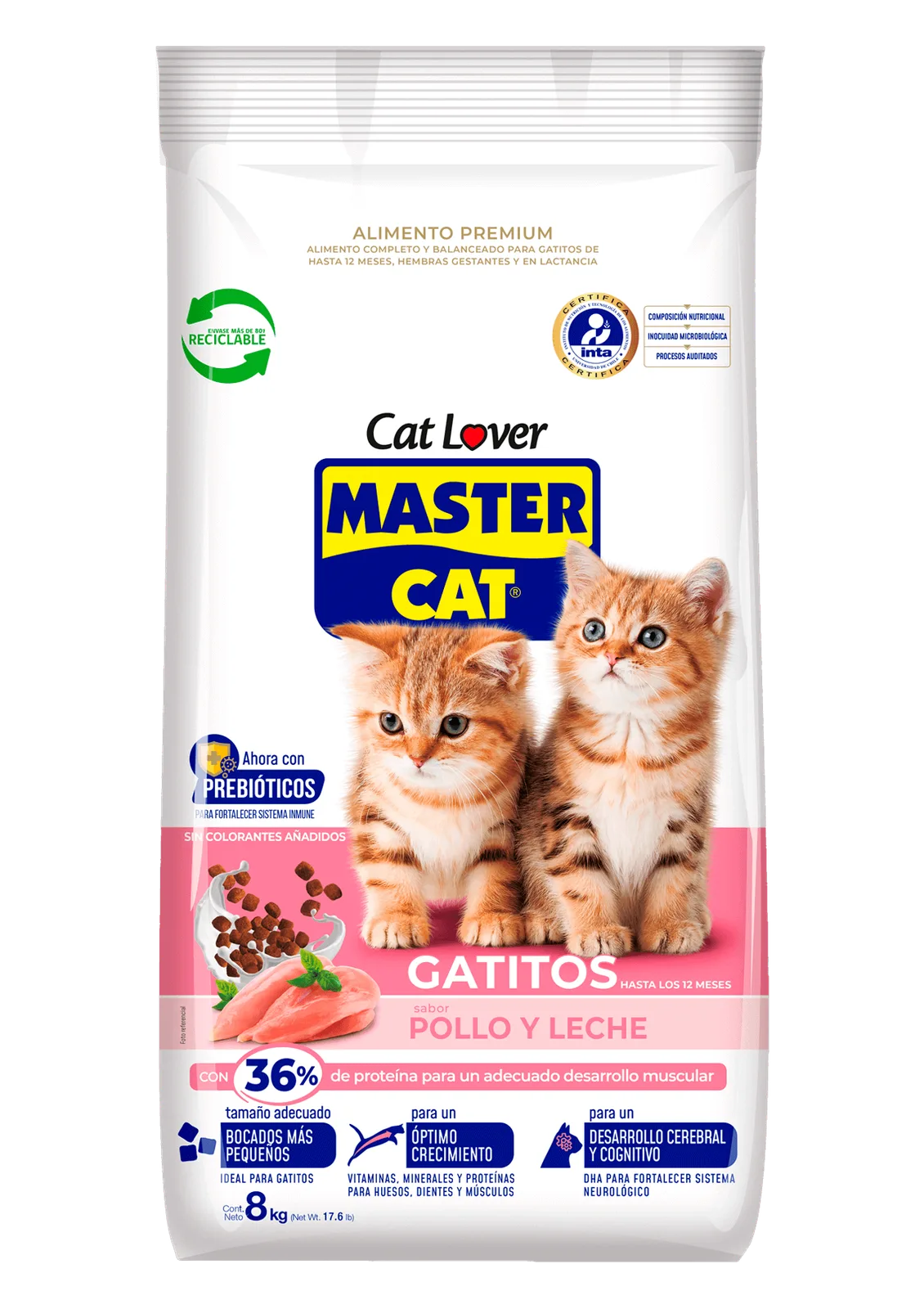 Master Cat Gatitos