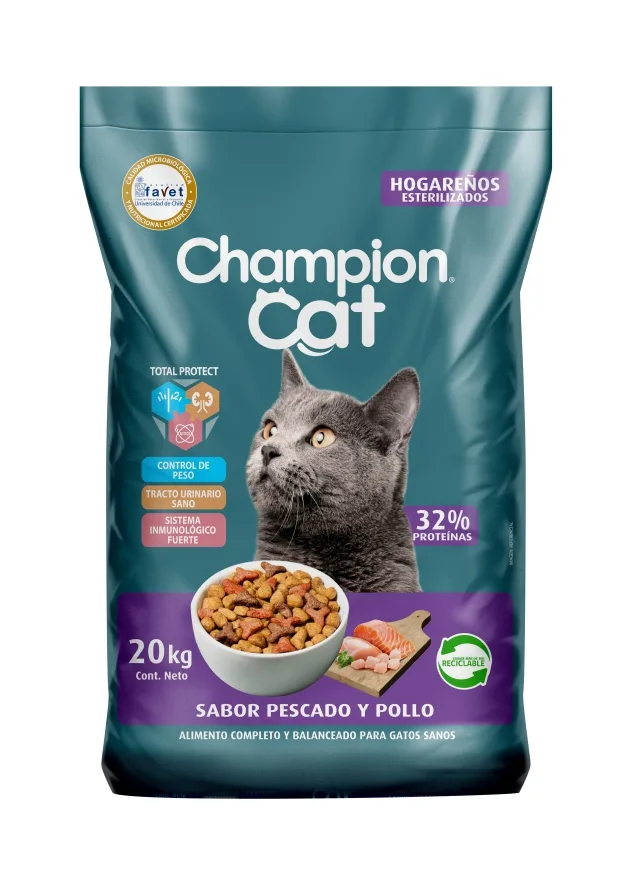 Champion Cat Hogareños