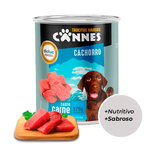 Display Lata Cannes Cachorro Carne 12 Unidades