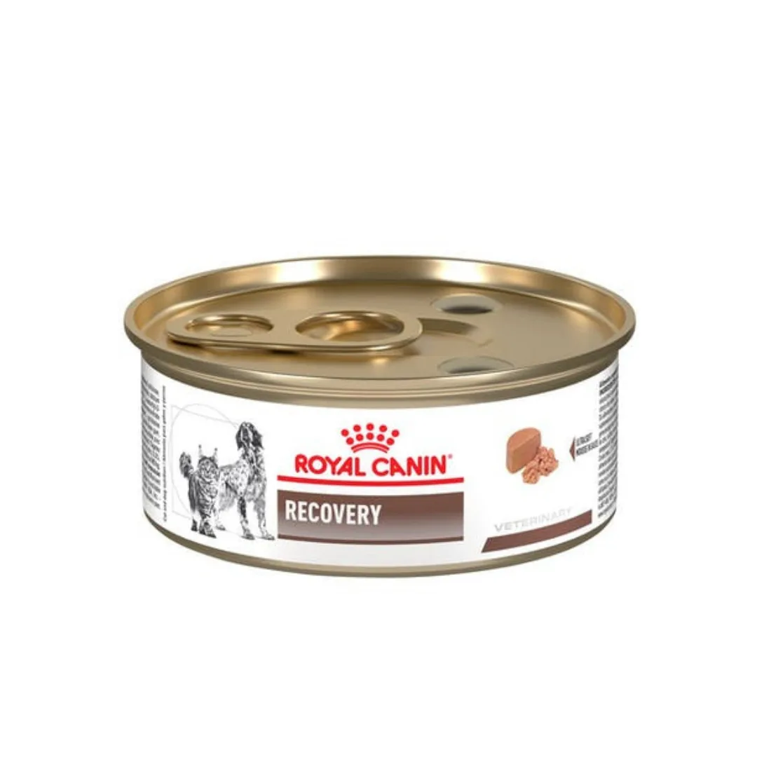 Royal Canin Lata Recovery Perro Gato