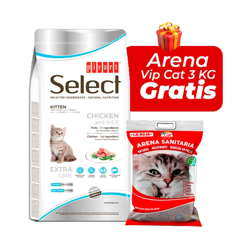 Picart Select Cat Kitten