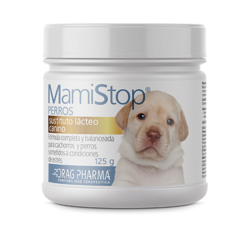 Mamistop Perro