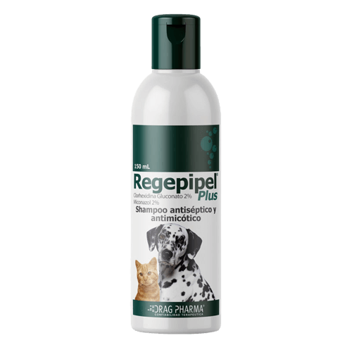 Regepipel Plus