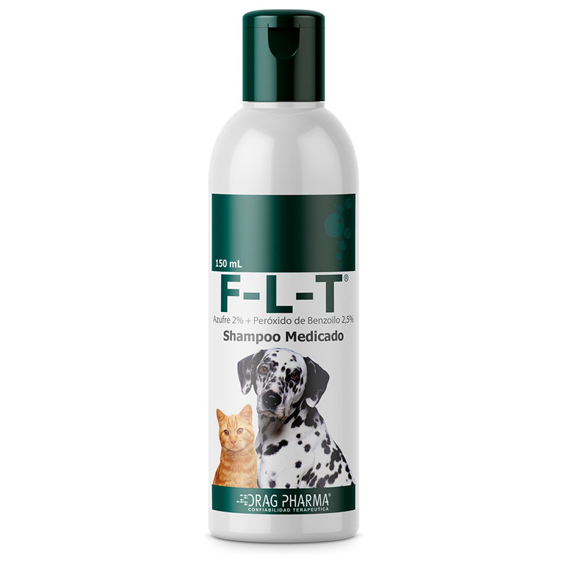 FLT Shampoo