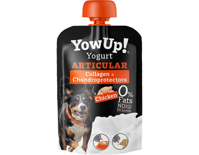 Snack Yogurt Articular Yow Up