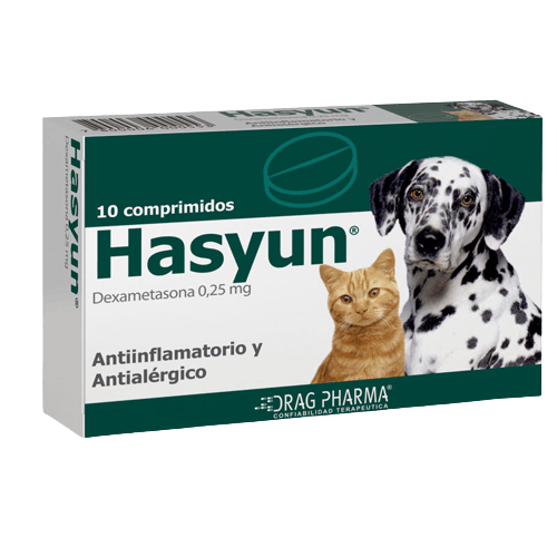 Hasyun 10 Comprimidos