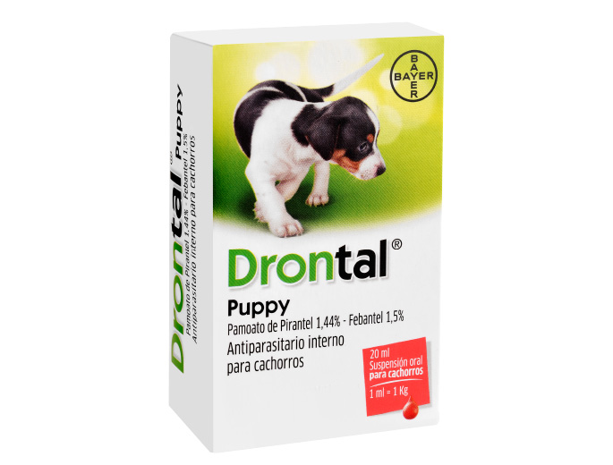 Antiparasitario Drontal Cachorro