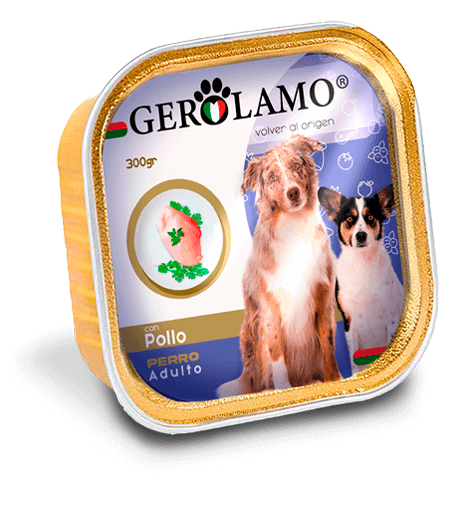 Gerolamo Perro Pate Carne Unidad