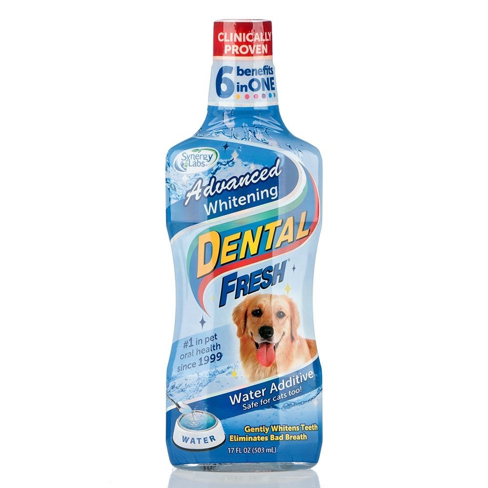 Dental Fresh Original