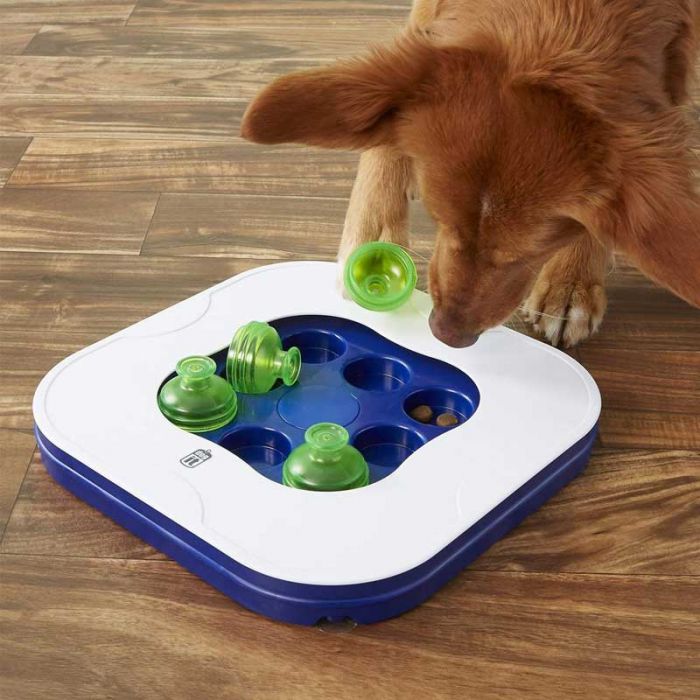 Juguete Perro Dog Mind Games Juego Interactivo