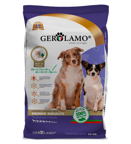 Gerolamo Perro Adulto Todas las Razas