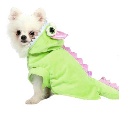 Disfraz Mascotas Monstruo S (B/36CM*L/23CM)
