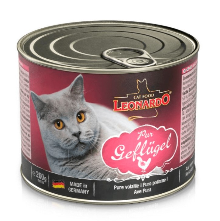 Lata Leonardo Gato Quality Selection Adulto Ave