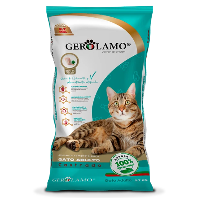 Gerolamo Gato Adulto Castrado