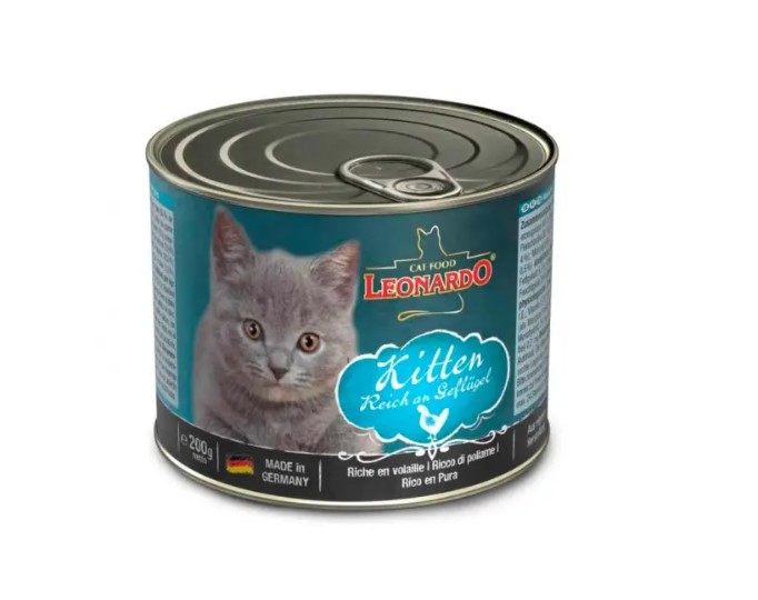 Lata Leonardo Gato Quality Selection Kitten