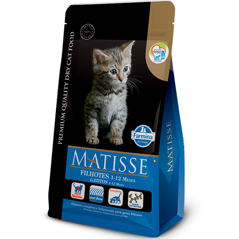 Matisse Gatito