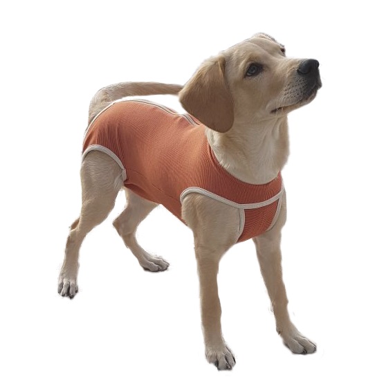 Body Protector de Cobre Talla 10