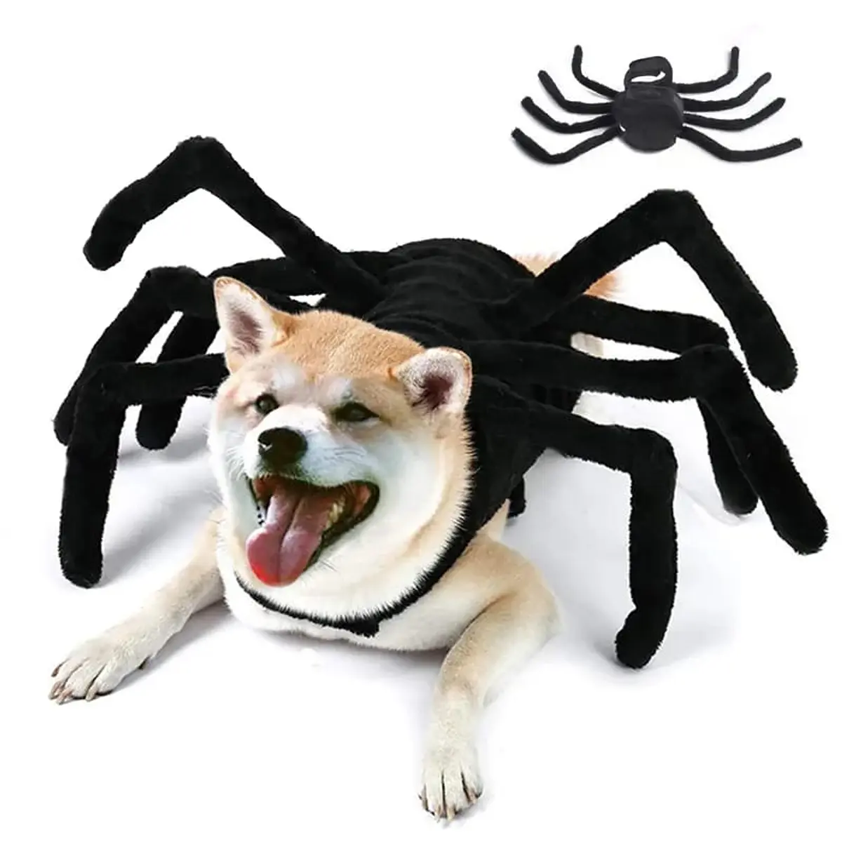 Disfraz Capa Araña x55 cm (DD01288M)