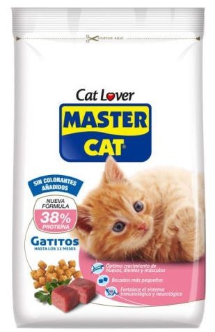 Master Cat Gatitos