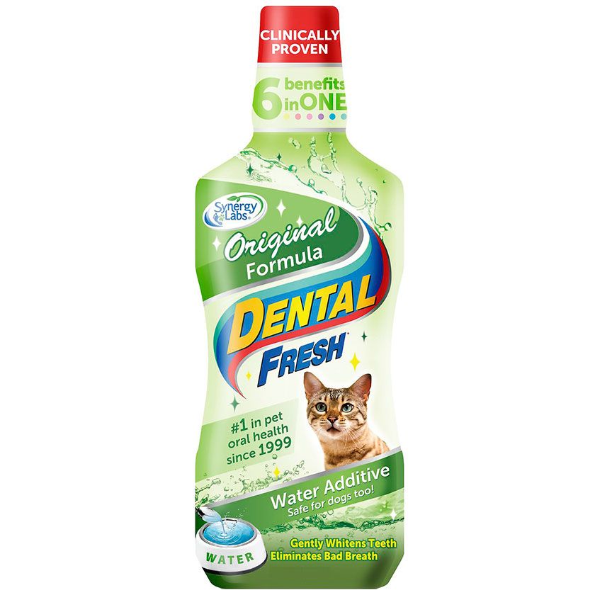 Hills Dental Fresh Gato Original Cat