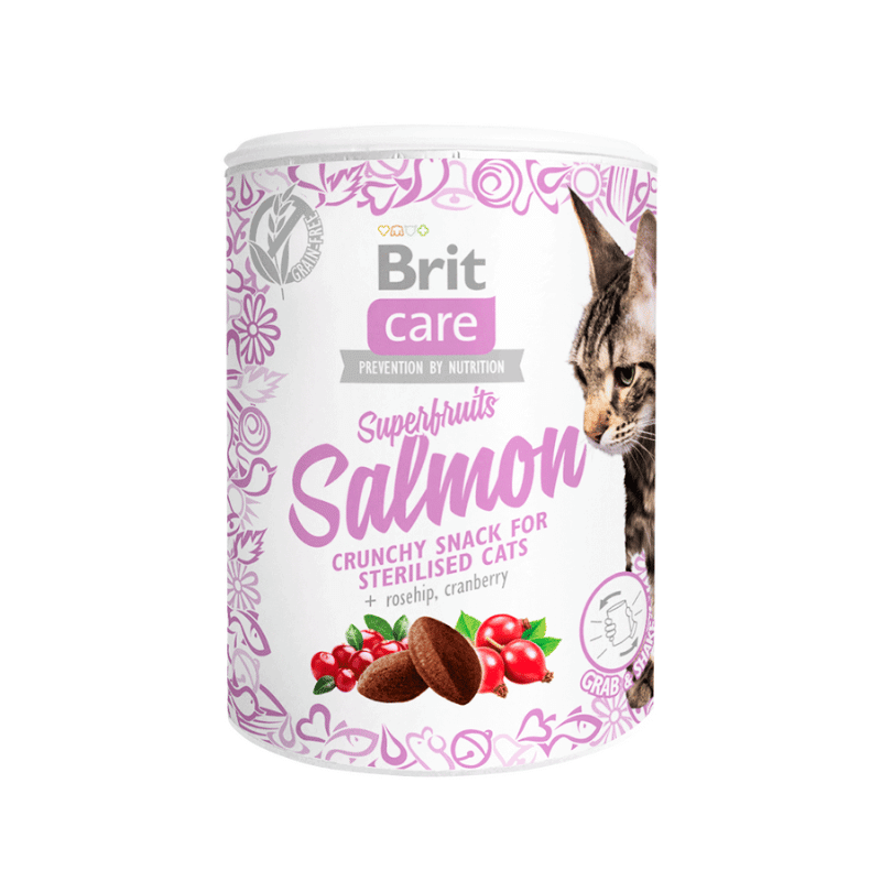 Snack Brit Care Cat Super Fruits Salmon