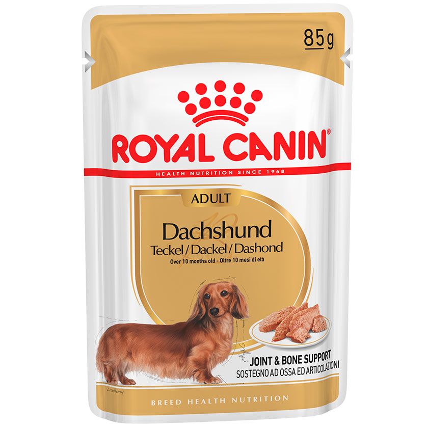 Royal Canin Sachet Dachshund Unidad
