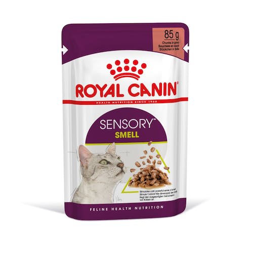 Royal Canin Sachet Sensory Smell Gravy Gato