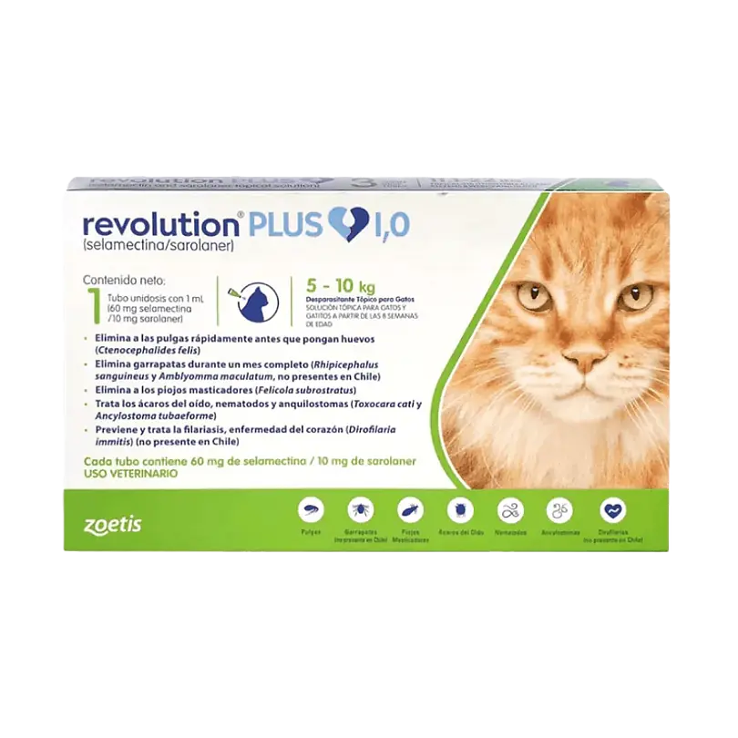Revolution Plus Gato