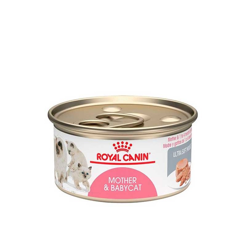 Lata Royal Canin Mother & Babycat